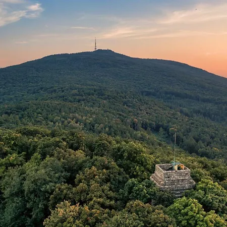 Przy Starym Basenie * Собутка